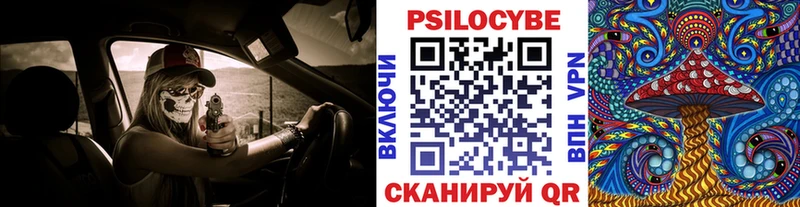 Галлюциногенные грибы Psilocybine cubensis  Кремёнки 