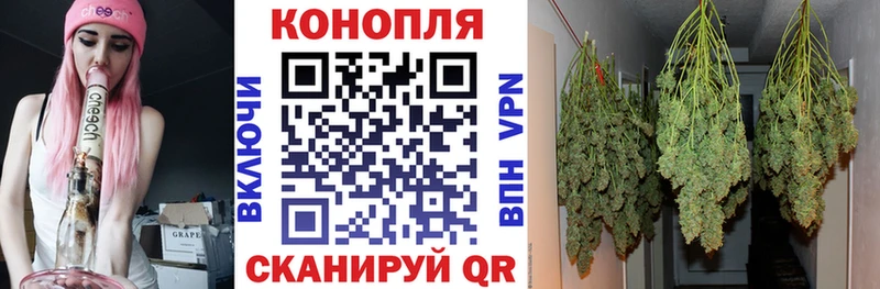 Конопля планчик  купить наркотики цена  MEGA ссылка  Кремёнки 
